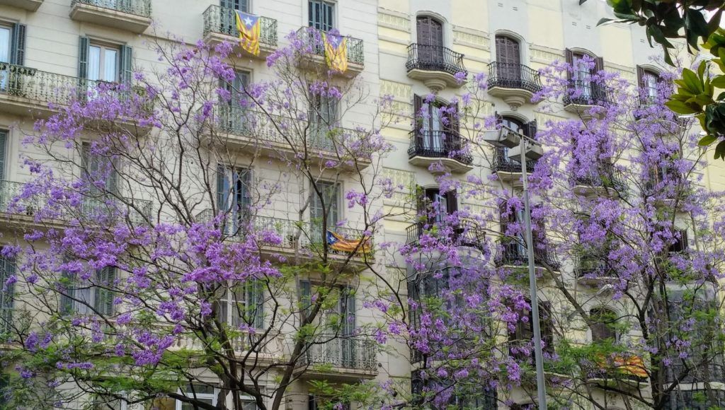 xicranda a Barcelona